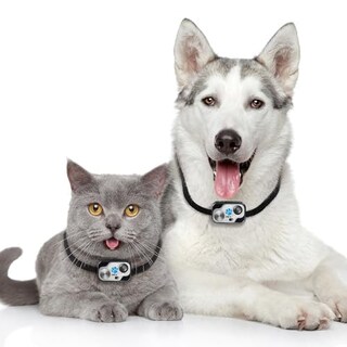 Foto 5 | Foto 5 | Collar Resistente Al Agua High Tech Pet Micro Sonic 5 Ms-5 - Venta Internacional.