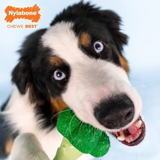 Foto 2 | Foto 2 | Juguete Masticable Para Perros Nylabone Power Chew Brócoli Tocino Y Queso - Venta Internacional.