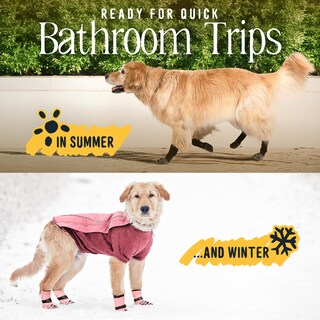 Foto 7 | Foto 7 | Calcetines Para Perros Dok Tigertoes De Primera Calidad Antideslizantes Para Pisos De Madera - Venta Internacional.