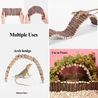 Foto 2 | Foto 2 | Juego De 10 Accesorios Para Tanques De Reptiles Runania Bearded Dragon - Venta Internacional.