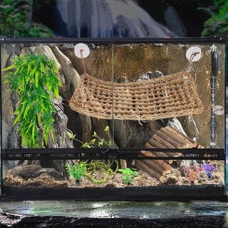 Foto 3 | Foto 3 | Juego De 10 Accesorios Para Tanques De Reptiles Runania Bearded Dragon - Venta Internacional.