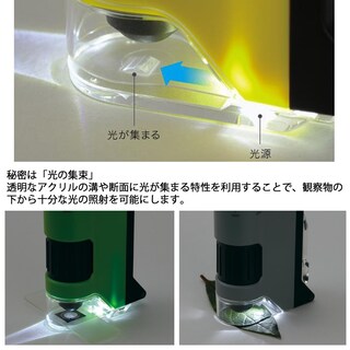 Foto 5 | Foto 5 | Microscopio Raymay Fujii Rxt300n Handy Dx 100x-250x Gris - Venta Internacional.