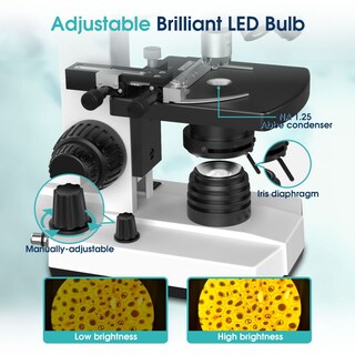 Foto 5 | Foto 5 | Microscopio Edkie 40x-2500x Con Aumento Y Pantalla Lcd De 7 Pulgadas - Venta Internacional.