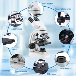 Foto 5 | Foto 5 | Microscopio Binocular Compuesto Bogrinuo Wf10x/wf25x 40-2000x - Venta Internacional.