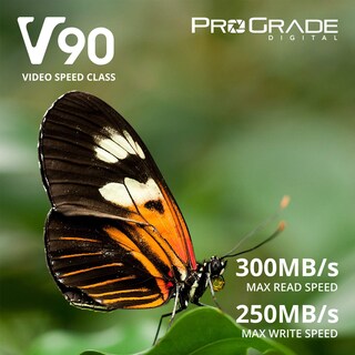 Foto 2 | Foto 2 | Tarjeta De Memoria Prograde Digital Sdxc Uhs-ii V90 300r 64gb - Venta Internacional.