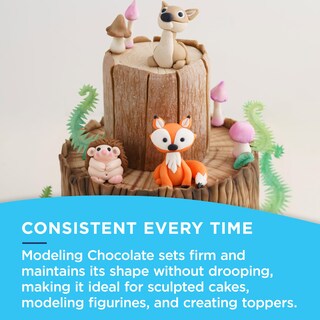 Foto 4 | Foto 4 | Molde De Chocolate Satinado Para Chocolate Para Chocolate  Color Blanco Brillante  454 G - Venta Internacional.