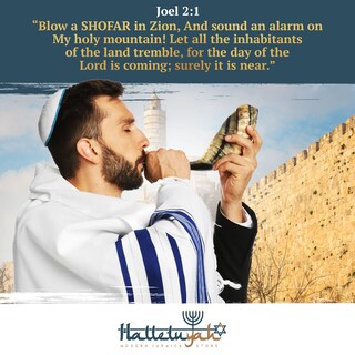 Foto 4 | Foto 4 | Cuerno De Carnero Shofar Halleluyah 14 A 16 Cm Kosher Inodoro Con Accesorios - Venta Internacional.