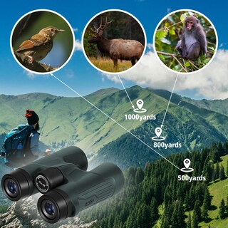 Foto 4 | Foto 4 | Binoculares Celticbird 10x42 Hd Impermeables Con Soporte Para Teléfono - Venta Internacional.