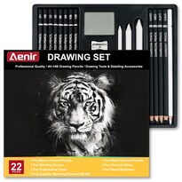 Set De 22 Lápices De Carboncillo Aenir Professional Para Dibujo - Venta Internacional.