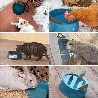 Foto 2 | Foto 2 | Cuenco De Agua Caliente Namsan 2.2 L Para Gatos Perros Pollos Y Conejos - Venta Internacional.