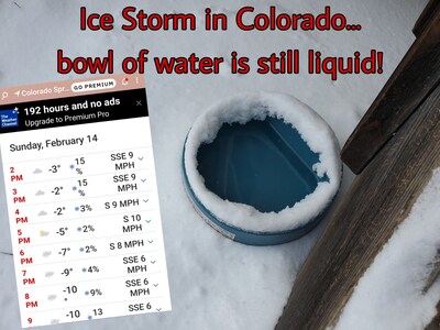 Foto 3 | Foto 3 | Cuenco De Agua Caliente Namsan 2.2 L Para Gatos Perros Pollos Y Conejos - Venta Internacional.