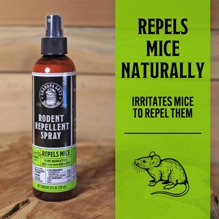 Foto 2 | Foto 2 | Aerosol Repelente De Roedores Grandpa Gus's Mouse Peppermint 240 Ml - Venta Internacional.