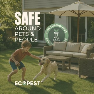 Foto 5 | Foto 5 | Spray Insecticida Ecopest Boxelder Bug & Asian Lady Beetle - Venta Internacional.