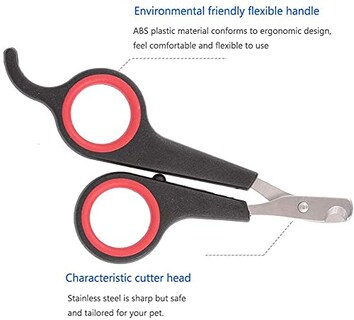 Foto 3 | Foto 3 | Cortauñas Haichen Tec Para Conejos Conejillos De Indias Cachorros Etc. - Venta Internacional.