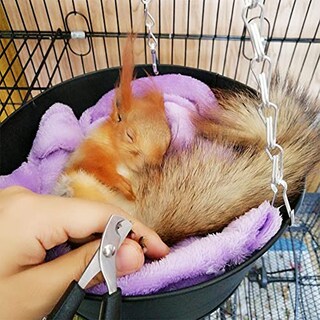 Foto 5 | Foto 5 | Cortauñas Haichen Tec Para Conejos Conejillos De Indias Cachorros Etc. - Venta Internacional.