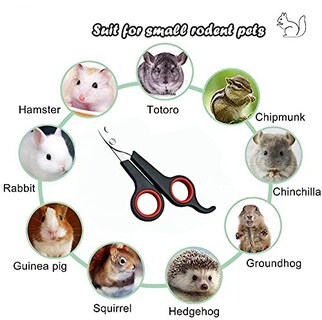 Foto 7 | Foto 7 | Cortauñas Haichen Tec Para Conejos Conejillos De Indias Cachorros Etc. - Venta Internacional.