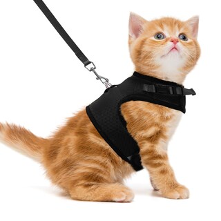 Foto 1 | Foto 1 | Set De Chaleco Arnés Y Correa Pupteck Para Gatos Y Perros Pequeños Color Negro M - Venta Internacional.