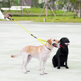 Foto 6 | Foto 6 | Correa Doble Para Perros Iyoshop 360 Giratoria No Se Enreda Verde Grande - Venta Internacional.