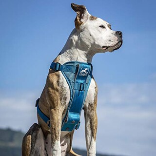 Foto 7 | Foto 7 | Arnés Para Perros Kurgo Tru-fit Smart Sin Tirones Clip Frontal Azul M - Venta Internacional.