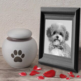 Foto 7 | Foto 7 | Urna Para Mascotas Jevaco  Diseño De Pata De Cerámica Gris-blanca  400 Ml - Venta Internacional.