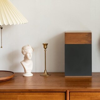 Foto 4 | Foto 4 | Urna De Cremación Aspenstudio Madera De Nogal Negro 11 Litros (235 Libras) - Venta Internacional.
