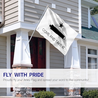 Foto 2 | Foto 2 | Bandera Anley Fly Breeze Come And Take It Poliéster 90 X 150 Cm - Venta Internacional.