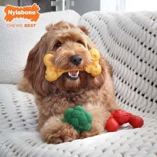 Foto 3 | Foto 3 | Juguete Para Perros Nylabone Power Chew Paquete De Langosta Queso Y Brócoli - Venta Internacional.