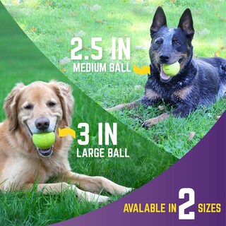Foto 3 | Foto 3 | Rubber Fetch Balls Chew King Supreme 6 35 Cm Color Amarillo - Venta Internacional.