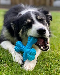 Foto 6 | Foto 6 | Juguete Masticable Nylabone Power Chew Comfort Hold X Bone Para Perros - Venta Internacional.