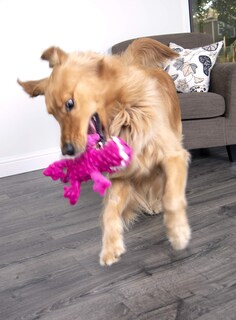 Foto 2 | Foto 2 | Juguete De Peluche Para Perros Godog Gators Squeaky Con Protector Para Masticar Rosa Tamaño Grande - Venta Internacional.