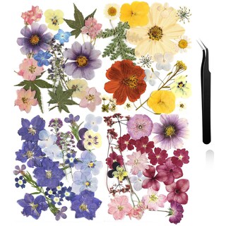 Foto 1 | Foto 1 | Manualidades De Flores Secas Nuanchu Con Flores Prensadas Con Pinzas 68 Unidades - Venta Internacional.