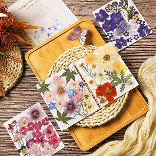 Foto 2 | Foto 2 | Manualidades De Flores Secas Nuanchu Con Flores Prensadas Con Pinzas 68 Unidades - Venta Internacional.