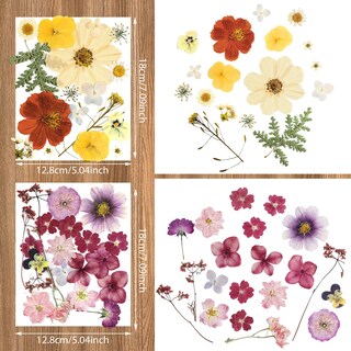 Foto 3 | Foto 3 | Manualidades De Flores Secas Nuanchu Con Flores Prensadas Con Pinzas 68 Unidades - Venta Internacional.