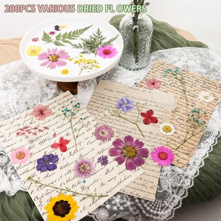 Foto 2 | Foto 2 | Kit De Moldes De Resina Para Flores Prensadas Secas 200 Piezas Con Pinzas - Venta Internacional.