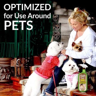 Foto 7 | Foto 7 | Quitamanchas Y Olores Simple Green Bio Dog En Aerosol 946 Ml Y 3 78 - Venta Internacional.