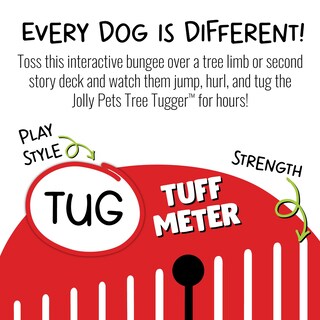 Foto 5 | Foto 5 | Juguete Para Perros Jolly Pets Tree Tugger Green Interactive Bungee - Venta Internacional.