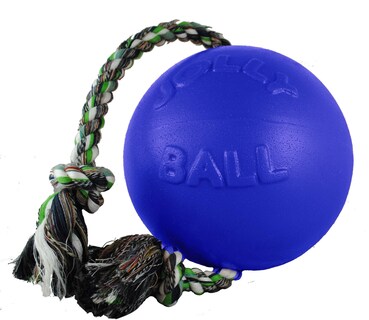 Foto 1 | Foto 1 | Juguete Para Perros Jolly Pets Romp-n-roll Con Cuerda Y Pelota Color Azul Medio - Venta Internacional.