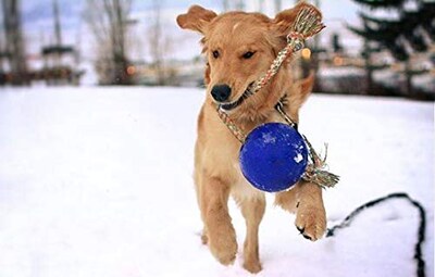 Foto 2 | Foto 2 | Juguete Para Perros Jolly Pets Romp-n-roll Con Cuerda Y Pelota Color Azul Medio - Venta Internacional.
