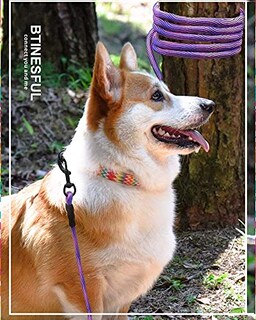 Foto 5 | Foto 5 | Correa Para Perro Btinesful Con Cordón Anudable A Cuadros Cuerda Larga De 1 Cm - Venta Internacional.