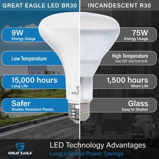 Foto 4 | Foto 4 | Bombilla Led Great Eagle Lighting Corporation Br30 11w 4000k - Venta Internacional.