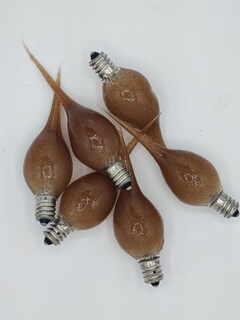 Foto 1 | Foto 1 | Bombilla Seeper On The Bright Side Primitive De 5 W Paquete De 6 - Venta Internacional.