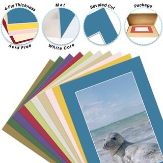 Foto 3 | Foto 3 | Tapetes Golden State Art De 5 X 7 Cm Para Fotos De 4 X 6 Paquete De 10 - Venta Internacional.