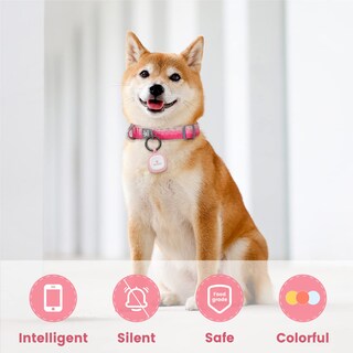 Foto 2 | Foto 2 | Etiqueta De Identificación De Mascota Con Código Qr: Perfil En Línea Modificable De Pawaii - Venta Internacional.