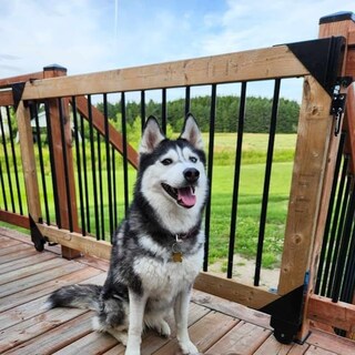 Foto 2 | Foto 2 | Kit De Puerta Corredera Pylex 11052 Negro Con Resistencia A La Corrosión - Venta Internacional.