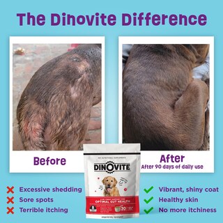 Foto 2 | Foto 2 | Suplemento Probiótico Omega 3 De Dinovite Para Perros De 18 A 45 Libras - Venta Internacional.