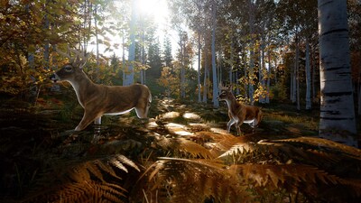 Foto 6 | Foto 6 | Videojuego Hunting Simulator 2 Para Playstation 4 - Ps4 - Venta Internacional.