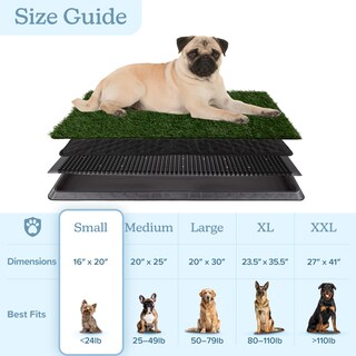 Foto 7 | Foto 7 | Almohadilla Para Orinar Con Césped Artificial Para Cachorros Petmaker 16 X 20 Pulgadas Con Bandeja - Venta Internacional.