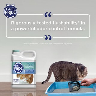 Foto 6 | Foto 6 | Arena Ligera Y Aglutinante Cat's Pride Desechable 4 5 Kg - Venta Internacional.