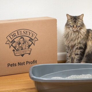 Foto 7 | Foto 7 | Arena Para Gatos Dr. Elsey's Premium Clumping Cat Attract 18 14 Kg - Venta Internacional.