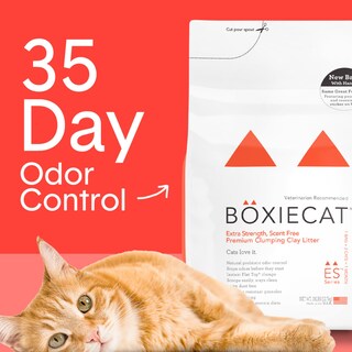 Foto 2 | Foto 2 | Arena Para Gatos Boxie Extra Strength 18 Kg Antiolor Natural - Venta Internacional.